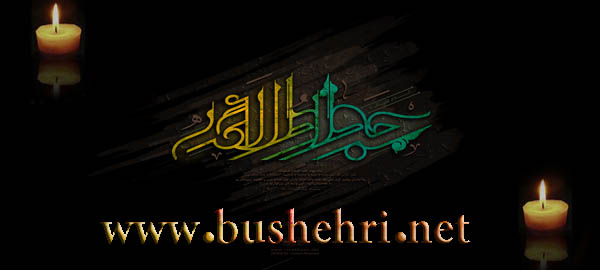http://bushehri.net/images/slideshow/1395/05/emamjavad2.jpg
